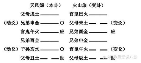 六沖|六爻基礎知識系列教程——六爻裝卦法